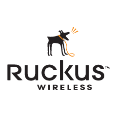 Ruckus Wireless